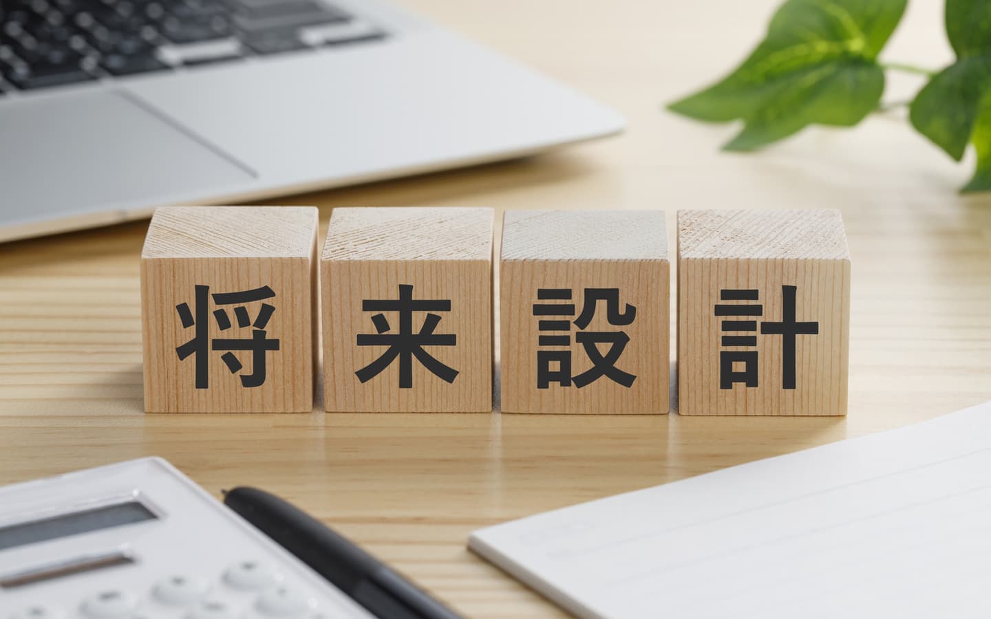 将来設計・iDeCo